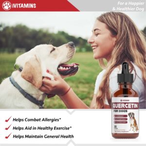 Quercetin for Dogs | Dog Allergy Relief | Quercetin for Dogs Allergies | Dog Allergy | Quercetin | Dog Allergy Support | Quercetin Dog | Dog Allergies | Quercetin Supplements | Bacon Flavor (1 Pack)