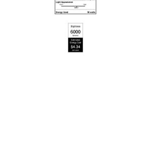 Westinghouse 5234100 36 Watt (200 Watt HID Equivalent) ED28 Daylight High Lumen Filament LED Light Bulb, Extended Mogul Base