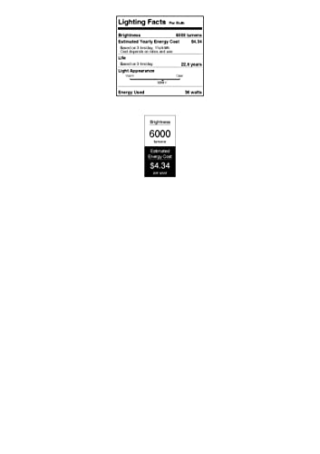 Westinghouse 5234100 36 Watt (200 Watt HID Equivalent) ED28 Daylight High Lumen Filament LED Light Bulb, Extended Mogul Base