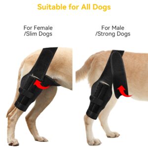 soundfuse Dog Knee Brace, Leg Brace for ACL with Cruciate Ligament Injury, Joint Pain and Muscle Sore, Adjustable Rear Support for Knee Cap Dislocation, Pet Knee Brace Recommended for Big Dog(Size: L)