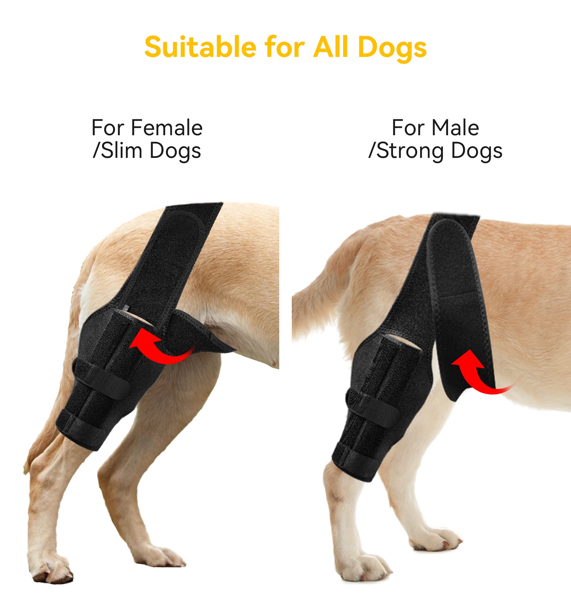 soundfuse Dog Knee Brace, Leg Brace for ACL with Cruciate Ligament Injury, Joint Pain and Muscle Sore, Adjustable Rear Support for Knee Cap Dislocation, Pet Knee Brace Recommended for Big Dog(Size: L)