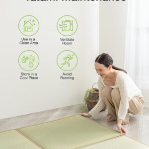 FULI Japanese Square Tatami Rug, Lightweight Igusa Mat (Japanese Rush Grass), Made in Japan (Natural, 4 Pieces)