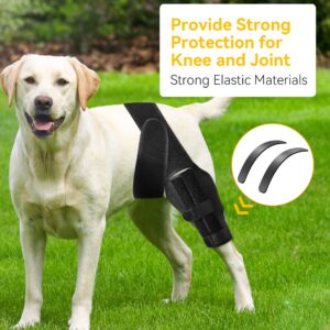 soundfuse Dog Knee Brace, Leg Brace for ACL with Cruciate Ligament Injury, Joint Pain and Muscle Sore, Adjustable Rear Support for Knee Cap Dislocation, Pet Knee Brace Recommended for Big Dog(Size: L)