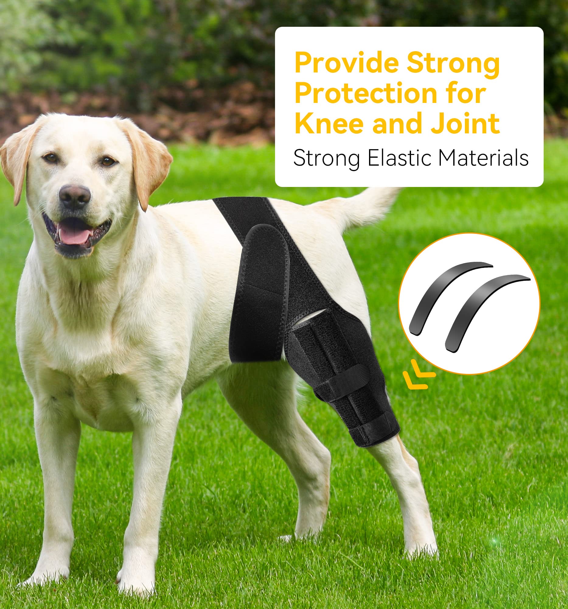 soundfuse Dog Knee Brace, Leg Brace for ACL with Cruciate Ligament Injury, Joint Pain and Muscle Sore, Adjustable Rear Support for Knee Cap Dislocation, Pet Knee Brace Recommended for Big Dog(Size: L)