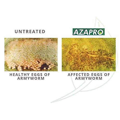 NeemTree Organics Azapro - Botanical Insecticide - Pest Management and Growth Control Concentrate for Organic Gardening (4 OZ)