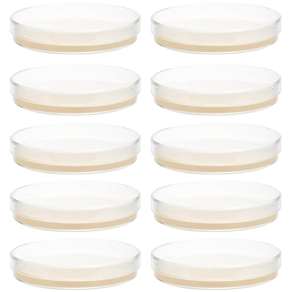 SOLUSTRE 10pcs Nutrient Agar Plate Petri Dish Petri Dish with Lid Agar Plates Culture Plate