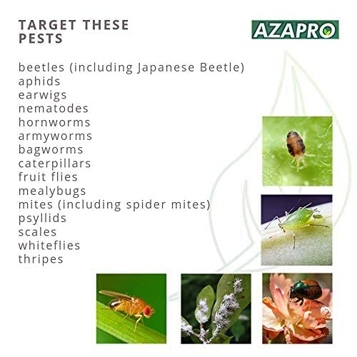 NeemTree Organics Azapro - Botanical Insecticide - Pest Management and Growth Control Concentrate for Organic Gardening (4 OZ)