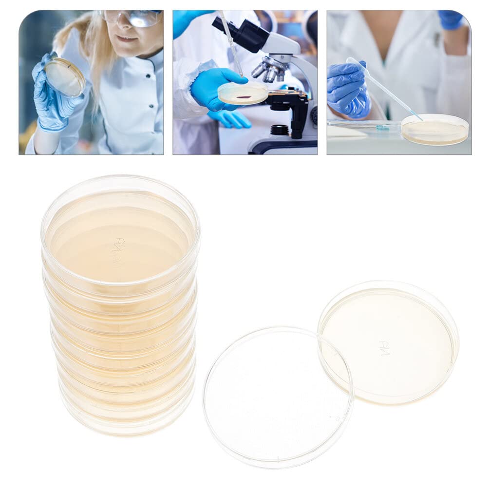 SOLUSTRE 10pcs Nutrient Agar Plate Petri Dish Petri Dish with Lid Agar Plates Culture Plate