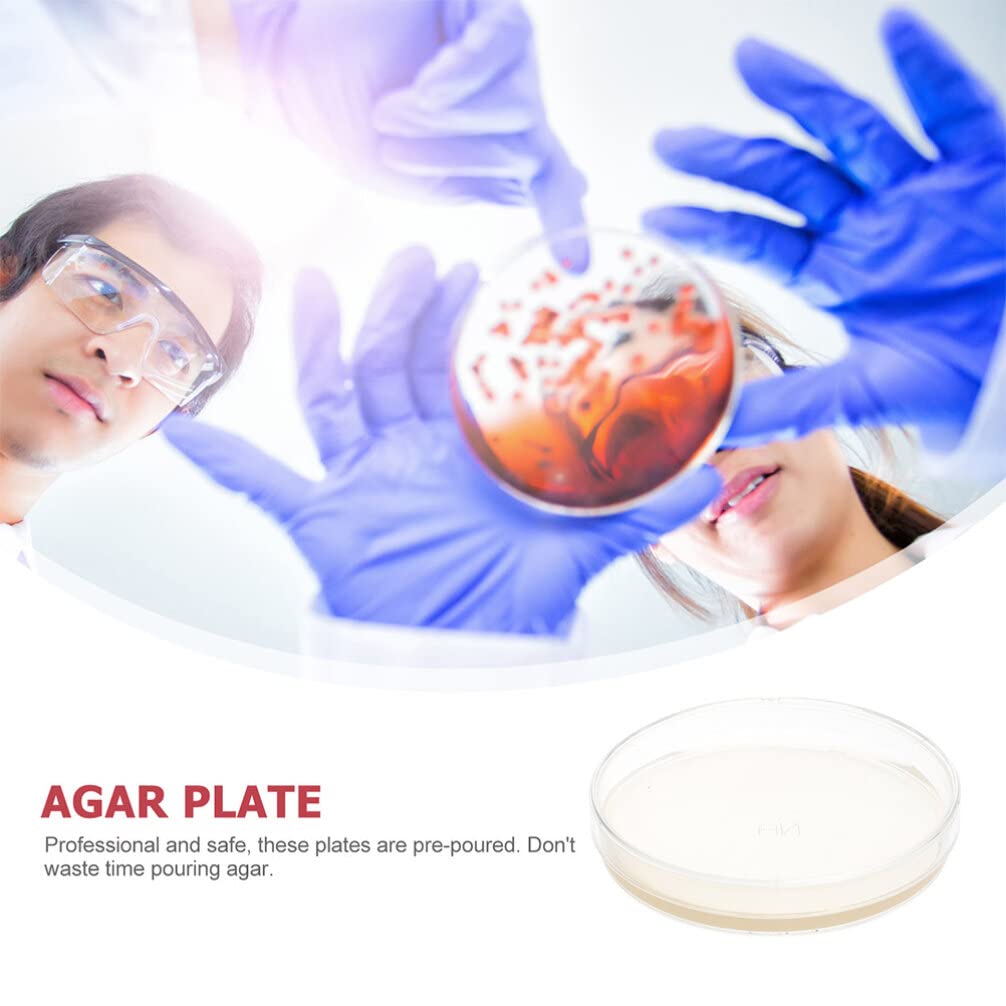 SOLUSTRE 10pcs Nutrient Agar Plate Petri Dish Petri Dish with Lid Agar Plates Culture Plate