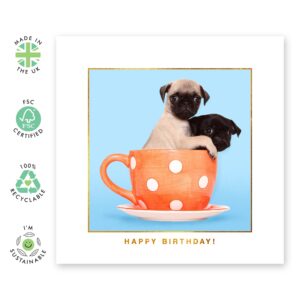 CENTRAL 23 Funny Birthday Card For Daughter Son - Two Pugs In A Mug - Friend Birthday Card - Brother Birthday Card From Sister - Comes With Fun Stickers