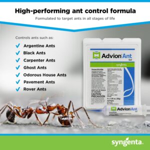 Advion Ant Gel Bait, 4 Tubes x 30-Grams, 4 Plungers and 4 Tips, Effective Ant Bait, Formulated with 0.05% Indoxacarb, Indoor and Outdoor Use, Ant Killer Gel for Control of Most Major Ant Species