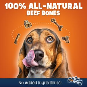 PUPDAWGS Single Ingredient Dog Bone Made in USA - Beef Knee Caps - 100% Natural Dog Bones for Aggressive Chewers - from USDA Inspected Beef - Hickory Smoked - Individually Wrapped (10 Piece Pack)