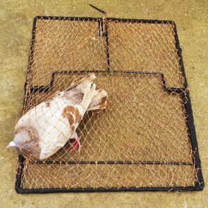 DSQSTMR Bird Trap Pigeon Sparrow Quail Starling Chicken Live Animal Control Spring Traps Snares for Trapping Catching Net