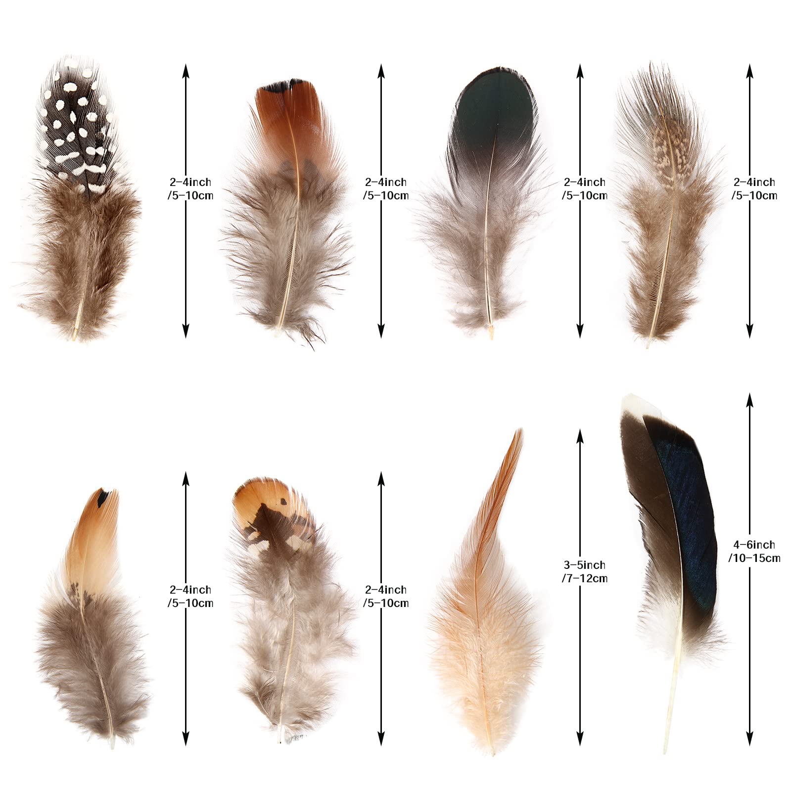 THARAHT 240pcs Mix Colour Eight Style Spotted Small Natural Bulk Feathers 2-6 Inches for for Sewing Crafts Clothing Jewelry Wedding Hair Hats Dream Catcher Decoration Guinea Fowl Feathers