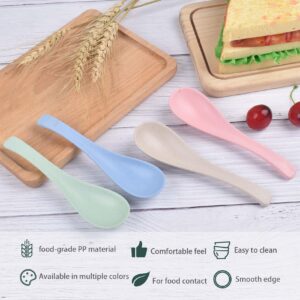 12 Pieces Wheat Straw Spoons Unbreakable Dinner Spoons Reusable Asian Soup Spoons Portable Lightweight Cereal Spoons for Kid and Adult, Microwave Dishwasher Safe