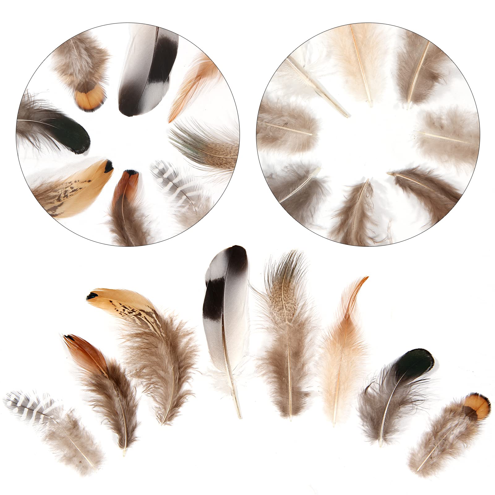 THARAHT 240pcs Mix Colour Eight Style Spotted Small Natural Bulk Feathers 2-6 Inches for for Sewing Crafts Clothing Jewelry Wedding Hair Hats Dream Catcher Decoration Guinea Fowl Feathers