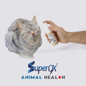 Superox Animal Eye Wash & Tear Stain Remover | Fast Relief from Irritations & Allergies Symptoms | Safe for All Animals | 100 ml (3.38 oz)