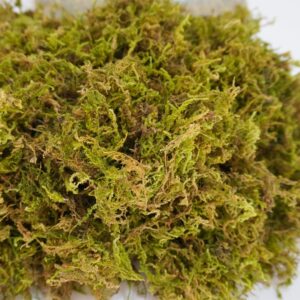 Begeterday 3.5oz Pure Natural Reptile Moss for Humidity, Great for Snakes, Turtle and Other Reptiles, Good for Terrariums for Reptiles & Amphibians