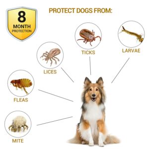 BUDOCI Flea Collar for Dogs,Flea and Tick Collar for Dogs,4 Pack Natural Flea & Tick Prevention for Dog, 24 Inch Collar for Large Small Dogs