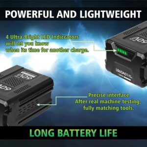 JIALIPOK 60V 5.0Ah Replacement for Greenworks Pro 60V Battery Max Lithium Ion LB60A00 LB60A01 LB60A02 LB60A03(Not for Kobalt&Powerworks)