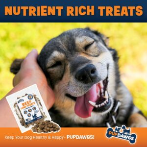 PUPDAWGS Beef Lung Dog Training Treats | Dog Dental Chews | Healthy Dog Treats Training | Low Calorie Dog Treats | Dehydrated Dog Treats Natural | Beef Lung Training Treats for Dogs (8oz Package)