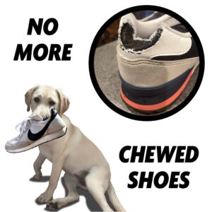 Chew Drip Premium Beef-Flavored Dog Chew Toy, Sneaker Shoe, Large, Natural Rubber, Heavy Duty, Powder Pink