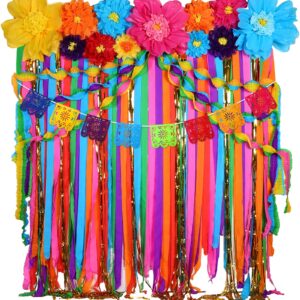 TaoBary 28 Pcs Mexican Party Decorations Set Mexican Paper Flowers Fiesta Ruffled Streamer Backdrop Papel Picado Banner Mexican Party Decorations for Cinco De Mayo Party Decor(Flower)