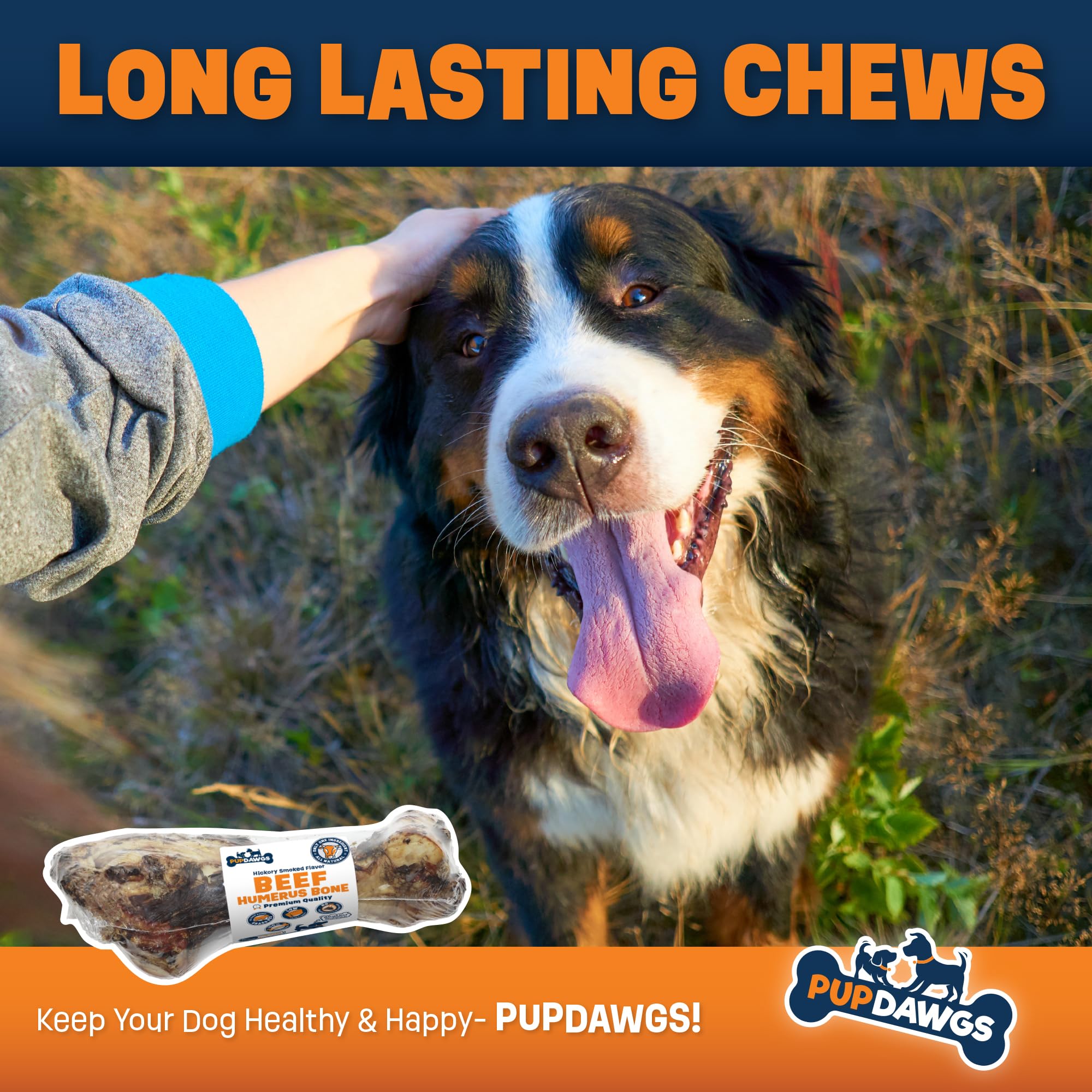 PUPDAWGS Dog-Bones-for-Aggressive-Chewers | 11-13" Hickory Smoked Flavor Beef Humerus Bone | Dog-Bones-for-Large-Dog | All Natural Dog Bone Treats Made in The USA (Single Bone)