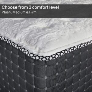 Greaton 14" Soft Foam Encased Hybrid Mattress, Perfect Body Supporting Pocket Coils for Utmost Comfort, Luxurious Mattresses for Relaxing Sleep Provides Back Pain Relief, Twin