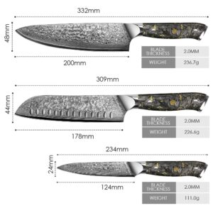 KEENZO Damascus knife set,Professional kitchen knives set 5 pcs,Sharp chef knife set.Hand forged 67-layers high carbon stainless steel knives set for Cooking.Ergonomic Full-Tang handle with gift box