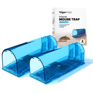 set of 2 reusable mouse traps | humane catch and release traps | best indoor/outdoor solution for handling mice and small rodents (blue)