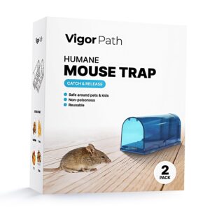 Set of 2 Reusable Mouse Traps | Humane Catch and Release Traps | Best Indoor/Outdoor Solution for Handling Mice and Small Rodents (Blue)