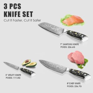 KEENZO Damascus knife set,Professional kitchen knives set 5 pcs,Sharp chef knife set.Hand forged 67-layers high carbon stainless steel knives set for Cooking.Ergonomic Full-Tang handle with gift box