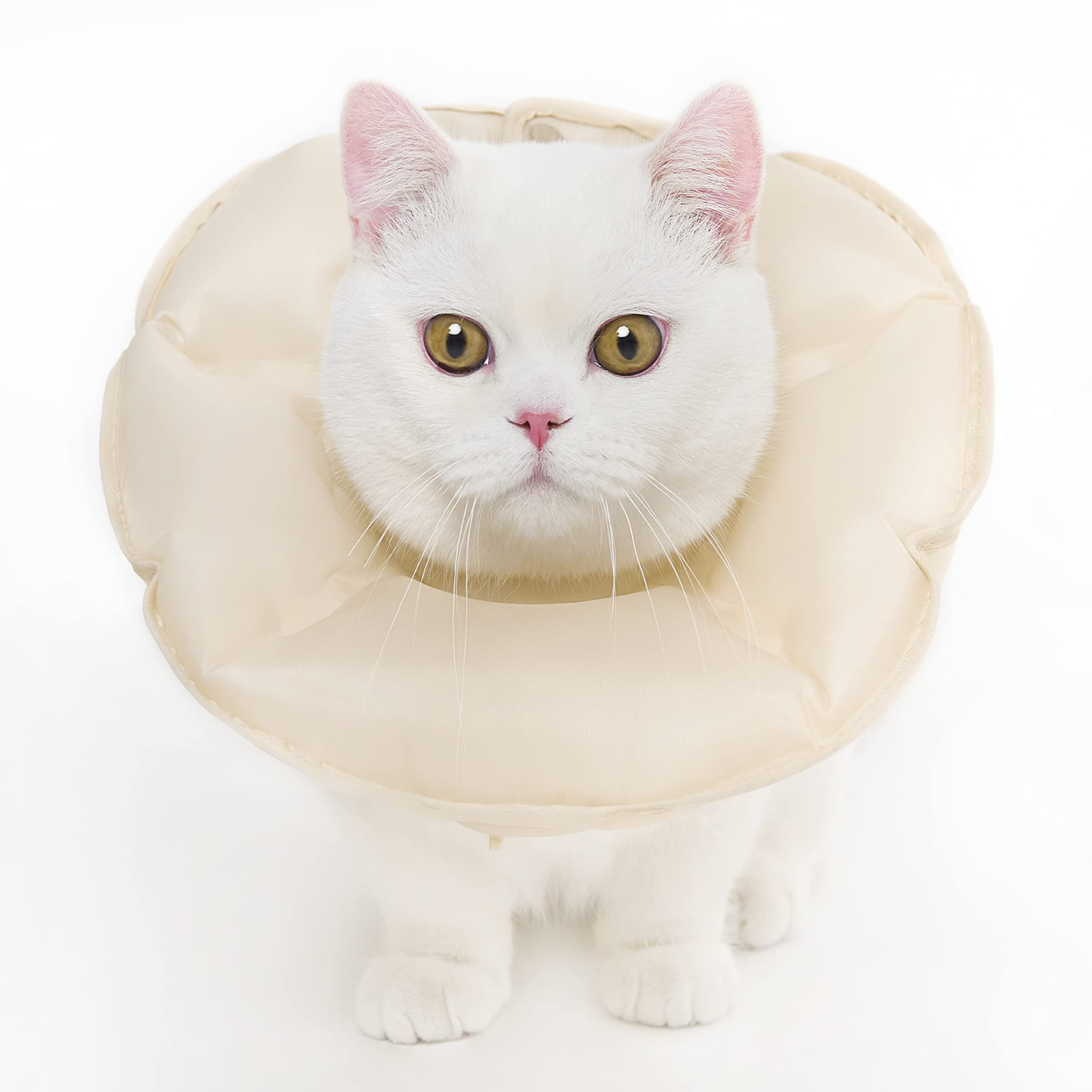 MayMaw Inflatable Cat Collar E Cone for Kittens & Small Dogs, Soft & Foldable Cat Recovery Collar Cone for Cats to Stop Licking Wound