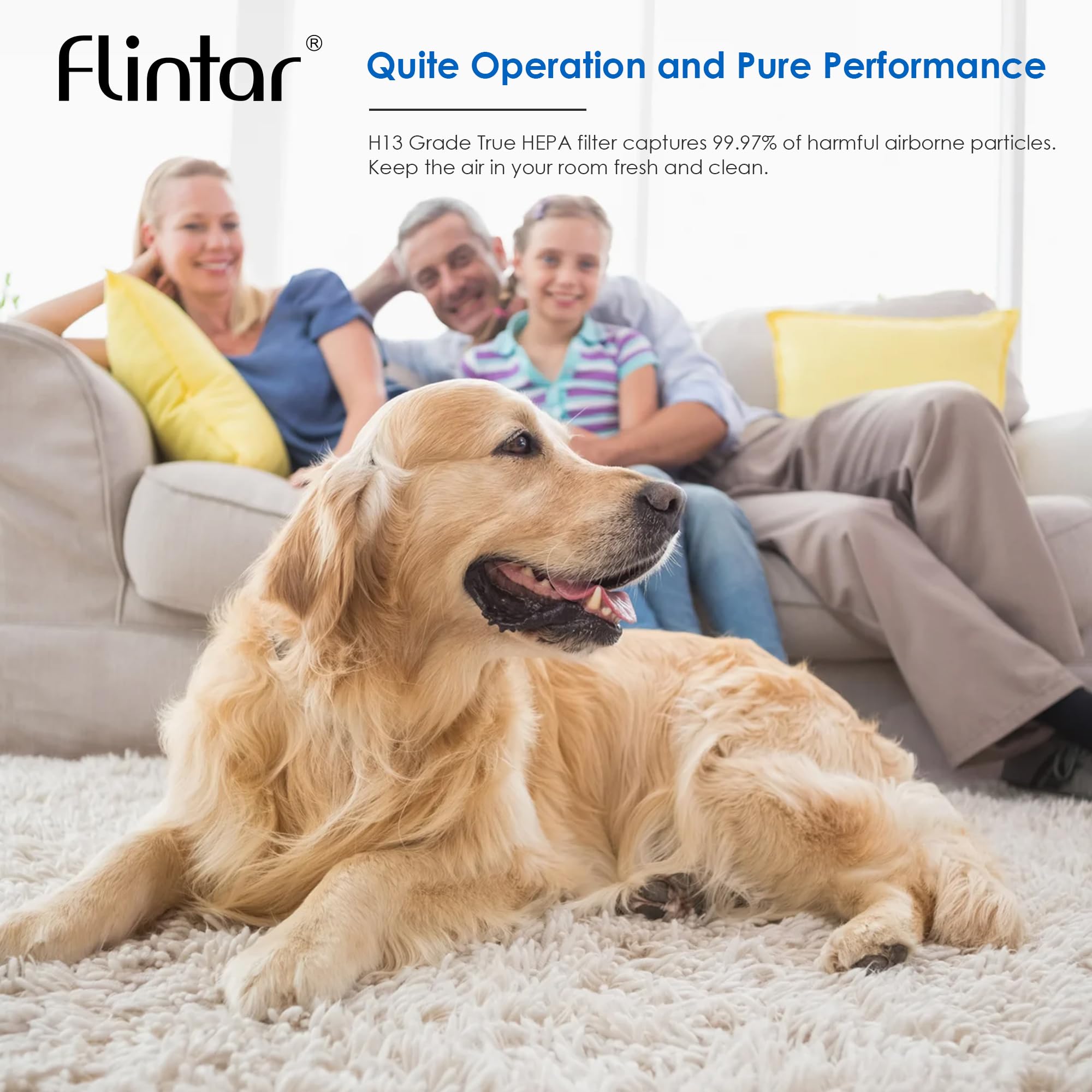 Flintar Vital 100S Pet Allergy Replacement Filter, Compatible with LEVOIT Vital 100S Air Purifier, H13 True HEPA + Activated Carbon Replacement filter, Part # Vital 100S-RF-PA, 2-Pack