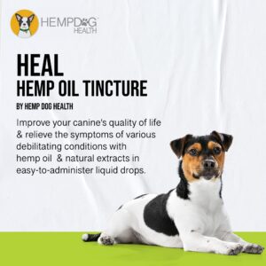 Hemp Dog Health - HEAL - Hemp Oil for Dogs - for Dog Seizure Relief, Autoimmune Conditions, & Cushing's - Add Dog Hemp Oil to Dog's Gums or Directly to Food - 100% Natural Ingredients