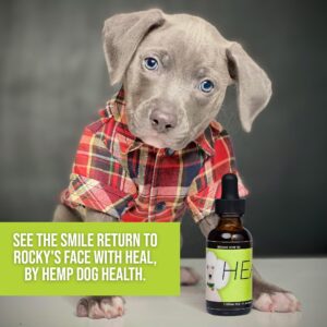 Hemp Dog Health - HEAL - Hemp Oil for Dogs - for Dog Seizure Relief, Autoimmune Conditions, & Cushing's - Add Dog Hemp Oil to Dog's Gums or Directly to Food - 100% Natural Ingredients