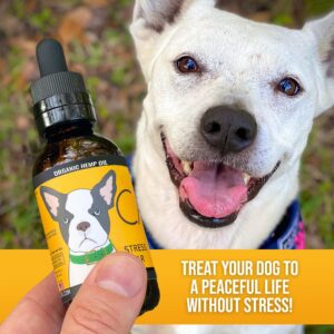 Hemp Dog Health - Calm - Hemp Oil for Dogs - for Dog Nervousness Relief - Balanced Mood & Behavior Dog Hemp Oil - Separation & Everyday Stress Relief - 100% Natural Dog Calming Drops