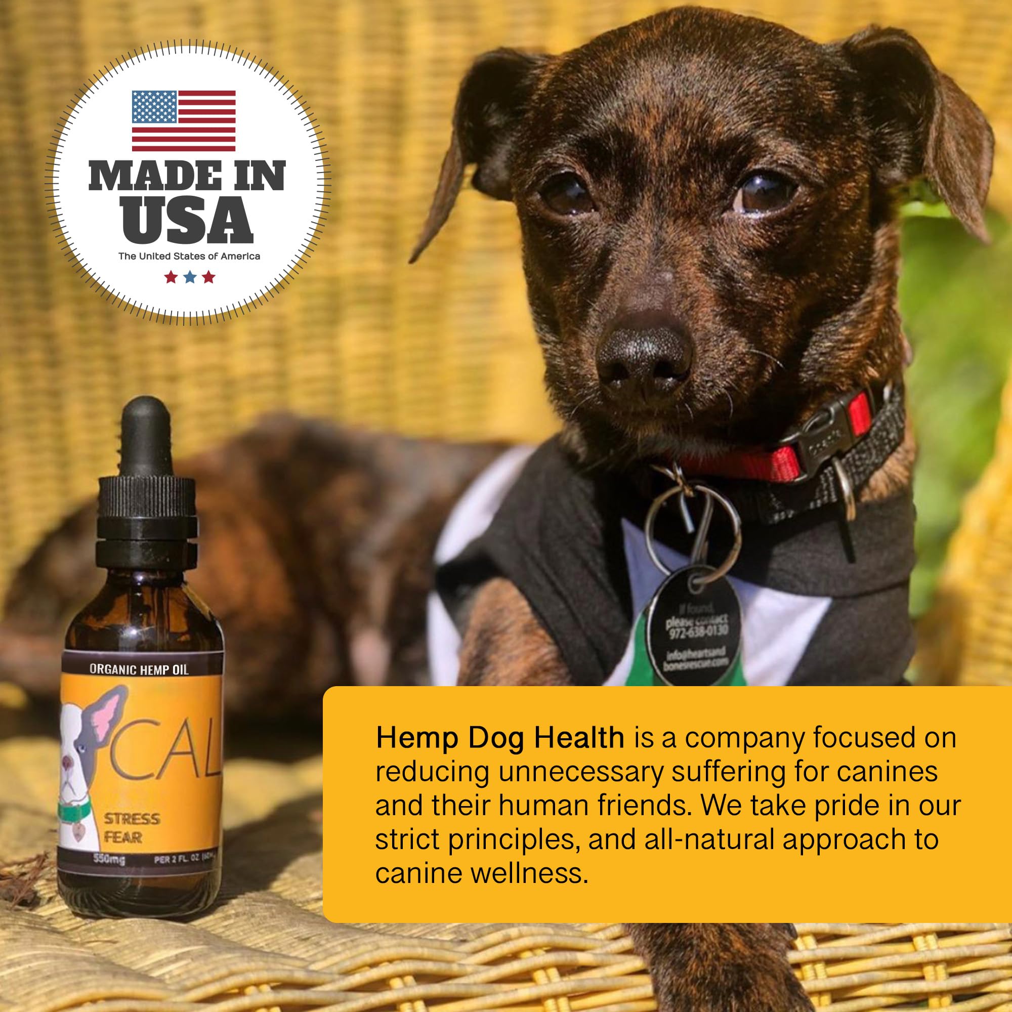 Hemp Dog Health - Calm - Hemp Oil for Dogs - for Dog Nervousness Relief - Balanced Mood & Behavior Dog Hemp Oil - Separation & Everyday Stress Relief - 100% Natural Dog Calming Drops