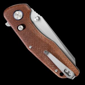 WIN+ Pocket Knife, Folding Knife with Button Lock and Axis Lock, Tactical Knives with Ball Bearing and Thumb Stud, D2 Small EDC Knife for Survival Camping, Ideal gift for Men and Women 3442 (B-Brown-Micarta)