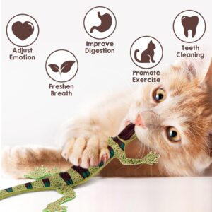 CiyvoLyeen Lizard Catnip Toys Chew Bite Resistant Toys for Indoor Cats Boredom Relief Teeth Cleaning Interactive Funny Cute Kitten Cat Lover Gifts Christmas Birthday Presents Set of 4