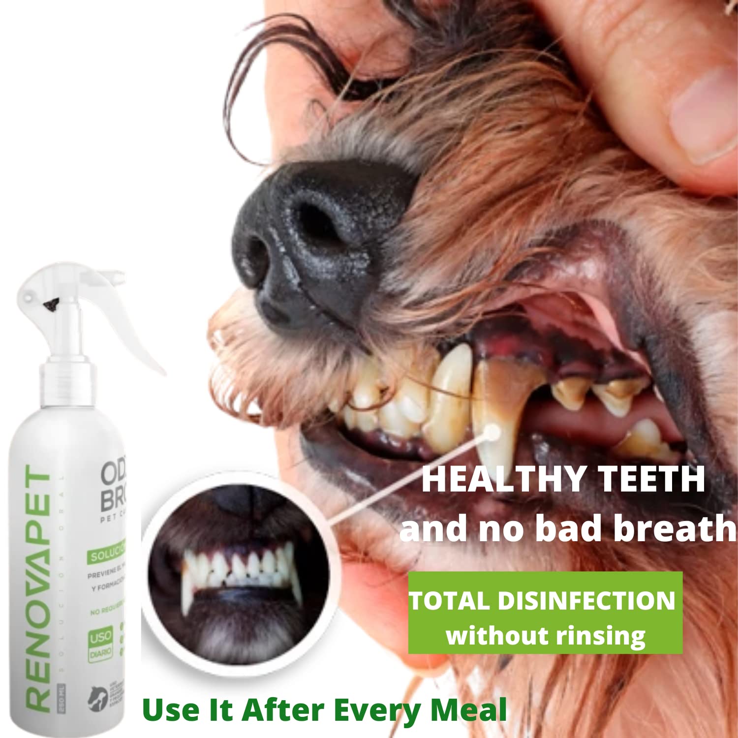 PetyPup Renovapet Organic Oral Care Solution