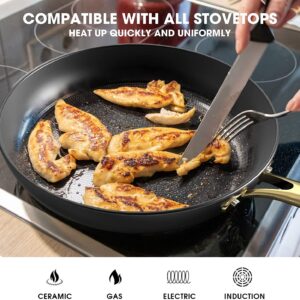 imarku Cast Iron Skillets, 12 Inch Cast Iron Pan, Professional Non Stick Frying Pans Long Lasting Nonstick Frying Pan Nonstick Pan Stay Cool Handle Easy Clean Unique Christmas Gift for Men and Women