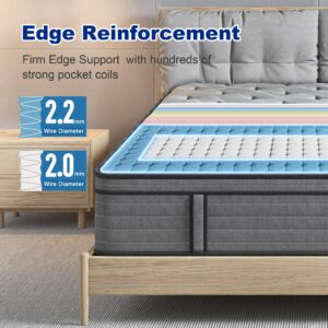 Slecofom 12 Inch Queen Mattress, Medium Firm Hybrid Queen Size Mattress in a Box, Pressure Relief Cool Gel Memory Foam, Breathable Knitted Cover, Pocket Spring with Motion Isolation, Fiberglass-Free