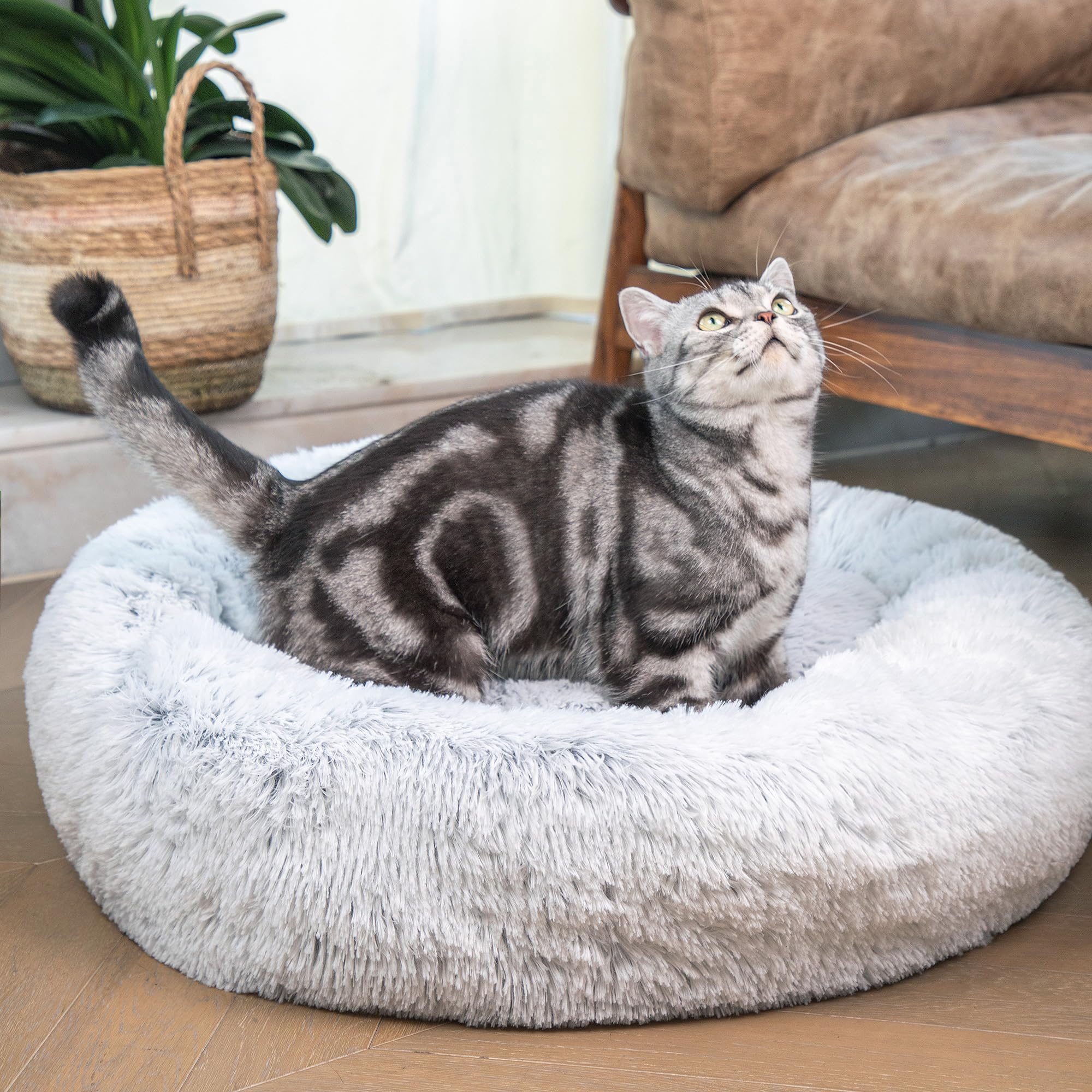 Vannokor Cat Bed for Indoor Cat, Calming Anti Anxiety Donut Cat Bed Fluffy Faux Fur Plush Cat Bed, 24 Inch Warming Cozy Soft Round Cat Bed, Anti Slip Waterproof Pet Cuddler Bed for Small and Medium