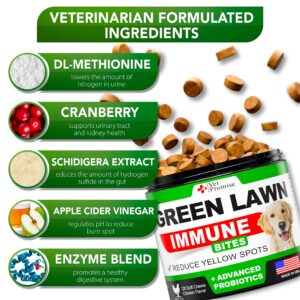 Grass Burn Spot Chews for Dogs - Dog Urine Neutralizer for Lawn - 120 Grass Green Dog Chews - Grass Savers for Dog Urine - Dog Pee Grass Neutralizer with Probiotics - Digestive Enzymes - Made in USA