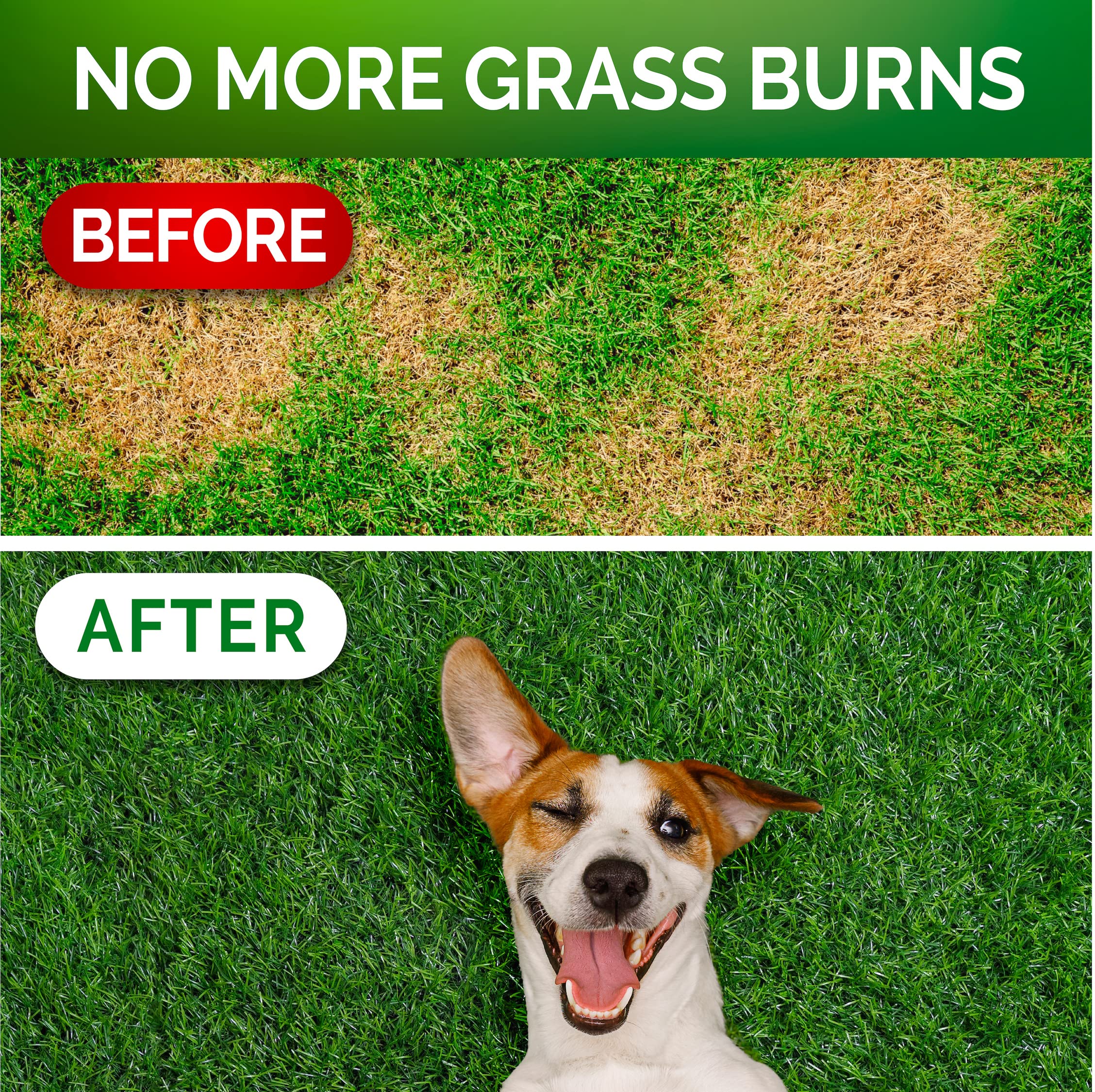 Grass Burn Spot Chews for Dogs - Dog Urine Neutralizer for Lawn - 120 Grass Green Dog Chews - Grass Savers for Dog Urine - Dog Pee Grass Neutralizer with Probiotics - Digestive Enzymes - Made in USA