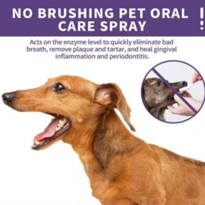 Pet Clean Teeth Spray, 2023 New Formula for Dogs & Cats, No Brushing Required, Freshens Breath, Prevents Plaque & Tartar, Natural Oral Care Spray (1pc)