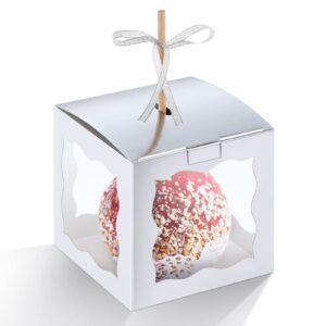 dandat 50 pieces 4 x 4 x 4 inch candy apple box with hole and stick paper caramel apple boxes cookies chocolate gift treat boxes with clear windows caramel apple containers for wedding christmas