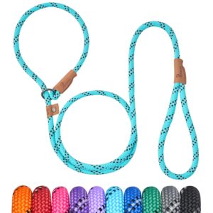 petarea 5 ft slip lead dog leash, heavy duty rope leash for small medium large dogs, no pull training lead with reflective thread, strong comfortable loop leash (teal stripe, medium(3/8"))